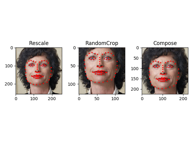 ../_images/sphx_glr_data_loading_tutorial_003.png